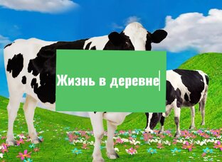 Жизнь в деревня