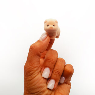 Микро-свинка коллекции Pigmuss