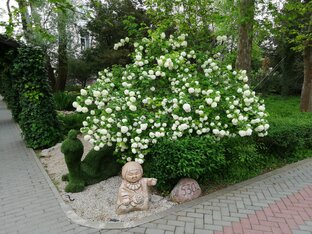 Короткие ролики. 