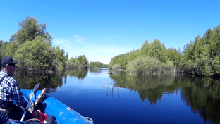 Летняя рыбалка