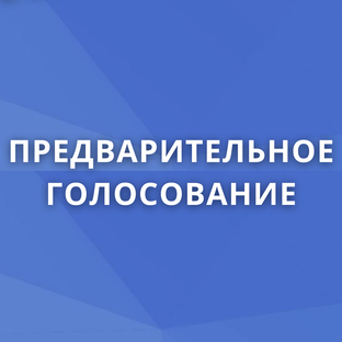 Предварительное голосование