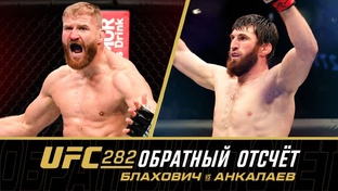 Бои 👊👊👊