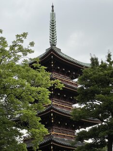 Ueno Toshogu Shrine