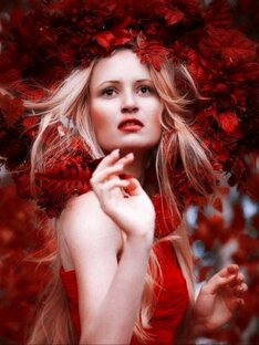 Яркость мгновения