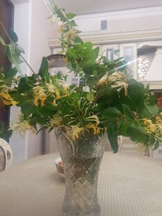 Самый ароматный цветок