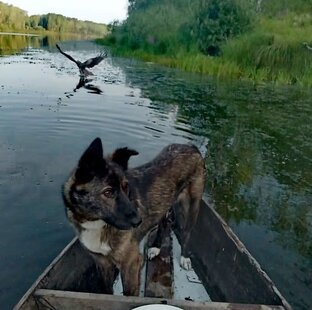 Компания - Матильда и дамочки!