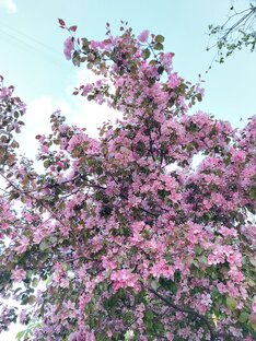 Приворотные обряды