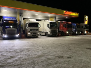 Кони на водопое