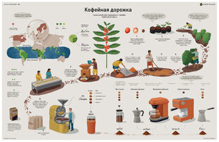Путь кофе от ягоды к чашке