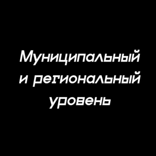 Муниципальный и региональный уровень 