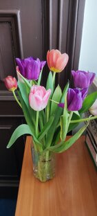 Ярославль, природа, романтика и я.