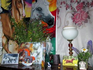 Околоконное