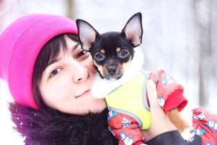 Той-Терьер Барби