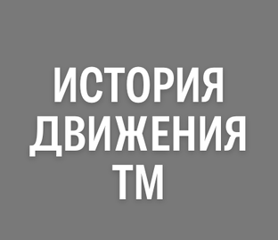 История движения ТМ  