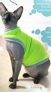 Толстовки для домашних животных