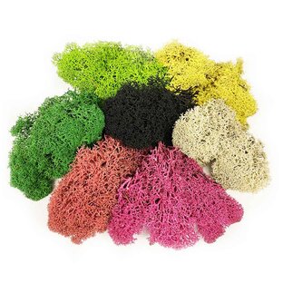 О растениях.