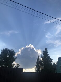 Без сахара