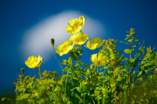 Всё о фотографии