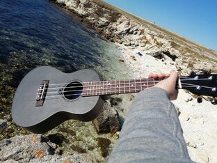 Рассказы и стихи.