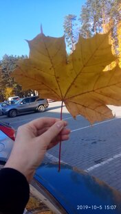 Моменты. Жизнь, как есть.