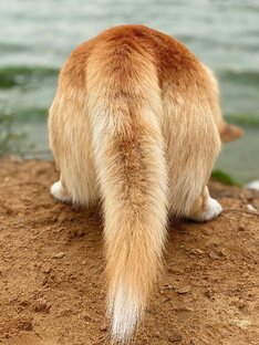 Попастый понедельник