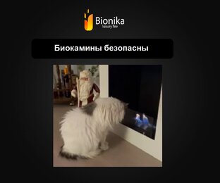 Биокамины и безопастность