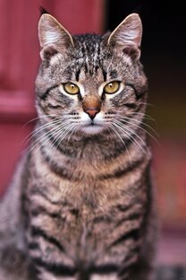 Бывает же такое