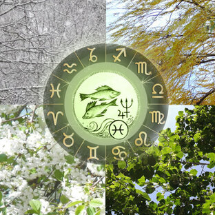 Гороскопы для Рыб