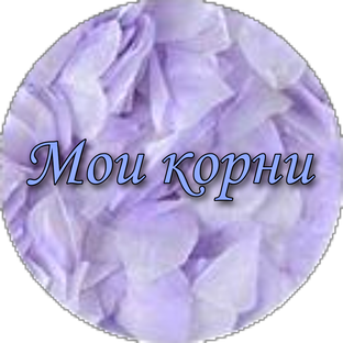 Мои корни