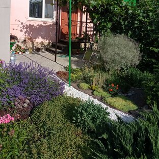 Цветоводство в открытом грунте