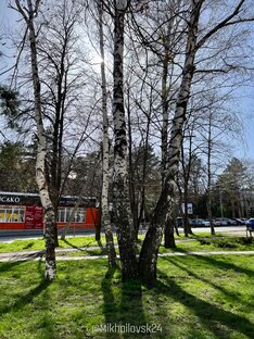 Фото города Михайловска