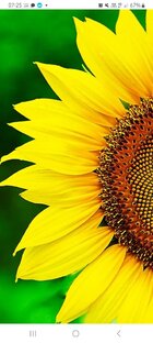 Новые пособия