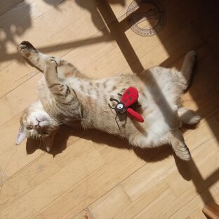 Лето, ах лето