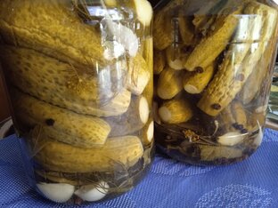 Огурцы. Рецепты на зиму