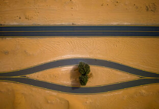 ФотоПРЕМИИ