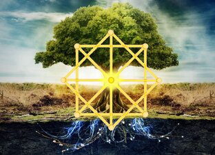 Матрицы знаменитостей