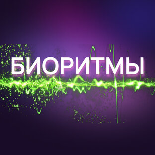 БИОРИТМЫ