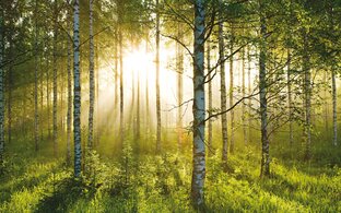 Медитации и Упражнения