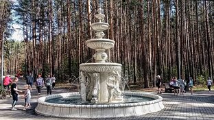 Посёлок Б.Исток.