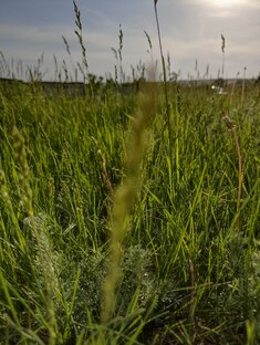 Прогнозы Еженедельные