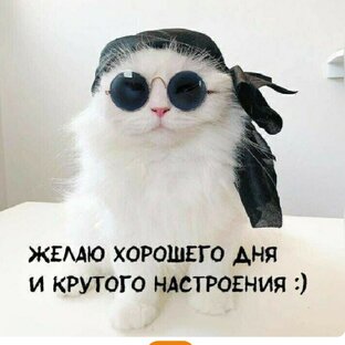 Анекдотики