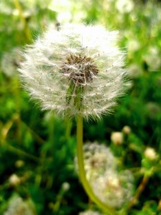 Статусы из моей жизни.