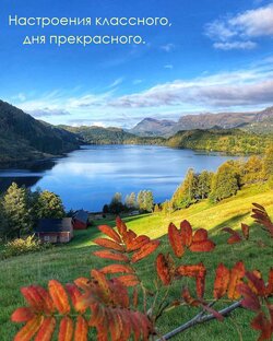 Всякое разное