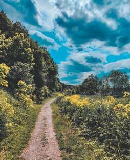 Поездки на выходные. Мини-путешествия