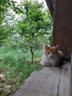 Фото "ДО" и "ПОСЛЕ"