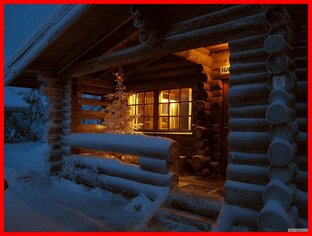 Деревце без корней - повесть