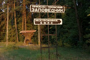 Приокско-Террасный Заповедник