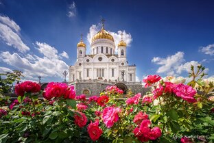 ПОЗДРАВЛЕНИЯ от всей души