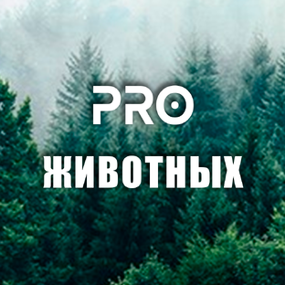 _ПРО ЖИВОТНЫХ_