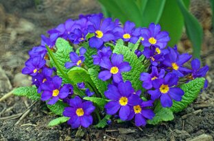 Главная ловушка этого мира.